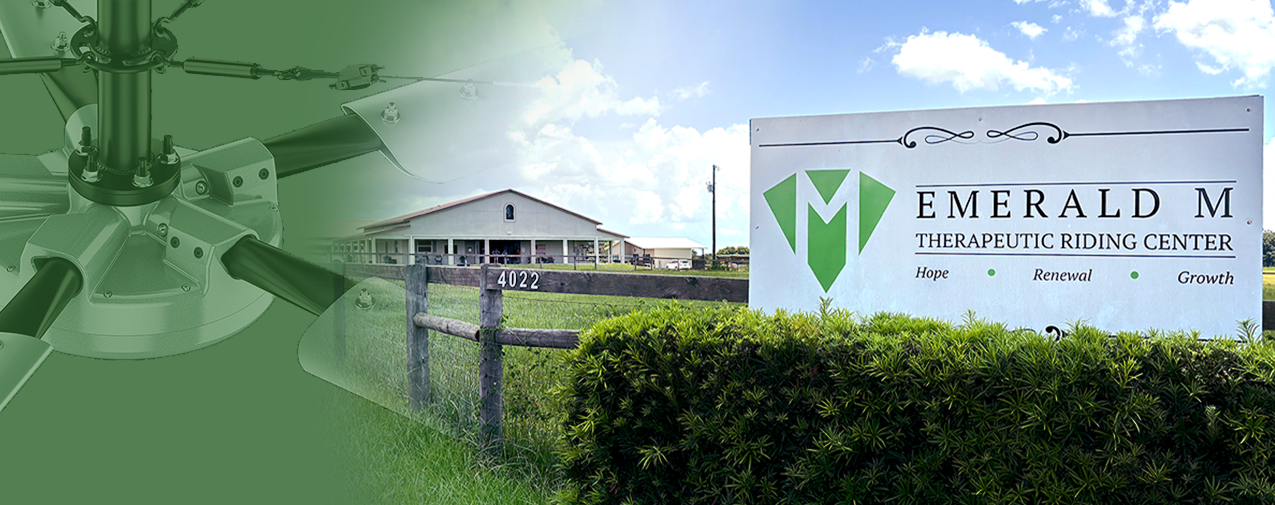 Success Story: Emerald M Therapeutic Riding Center