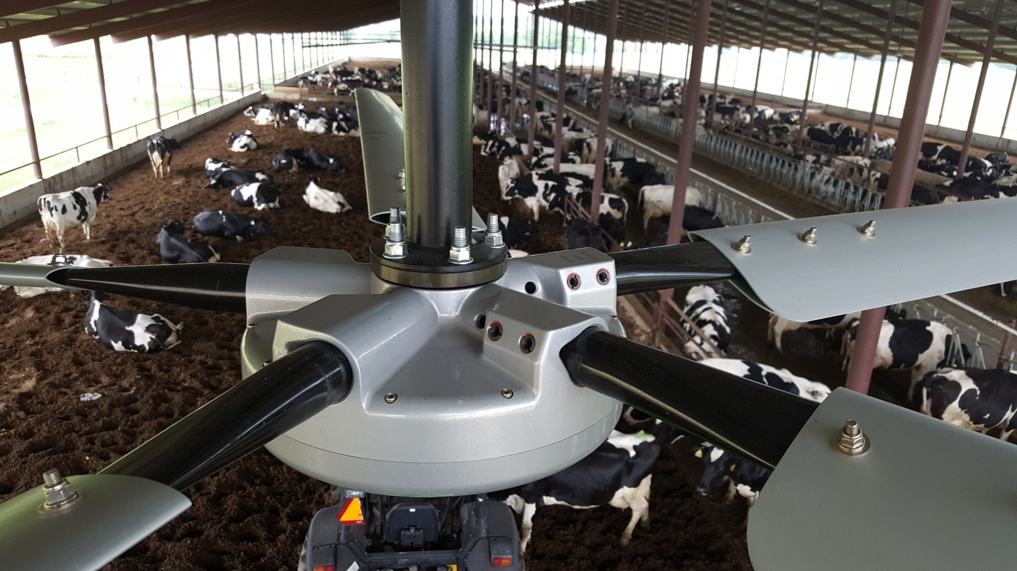 Industrial Fans for Dairy Barns