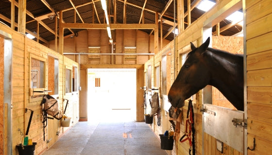 commercial fans for horse barns